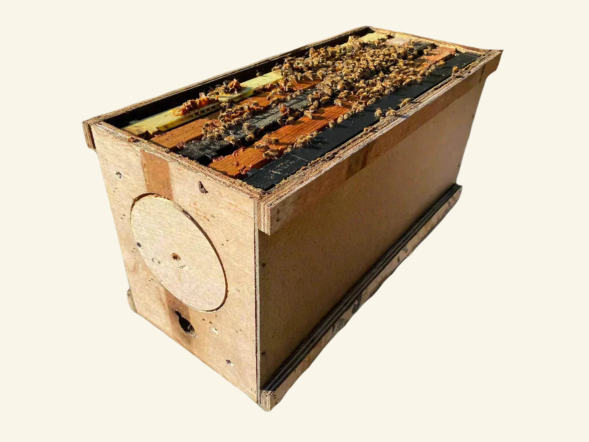 5 Frame NUCs Pre-Order, April 26th 2025 Wisconsin