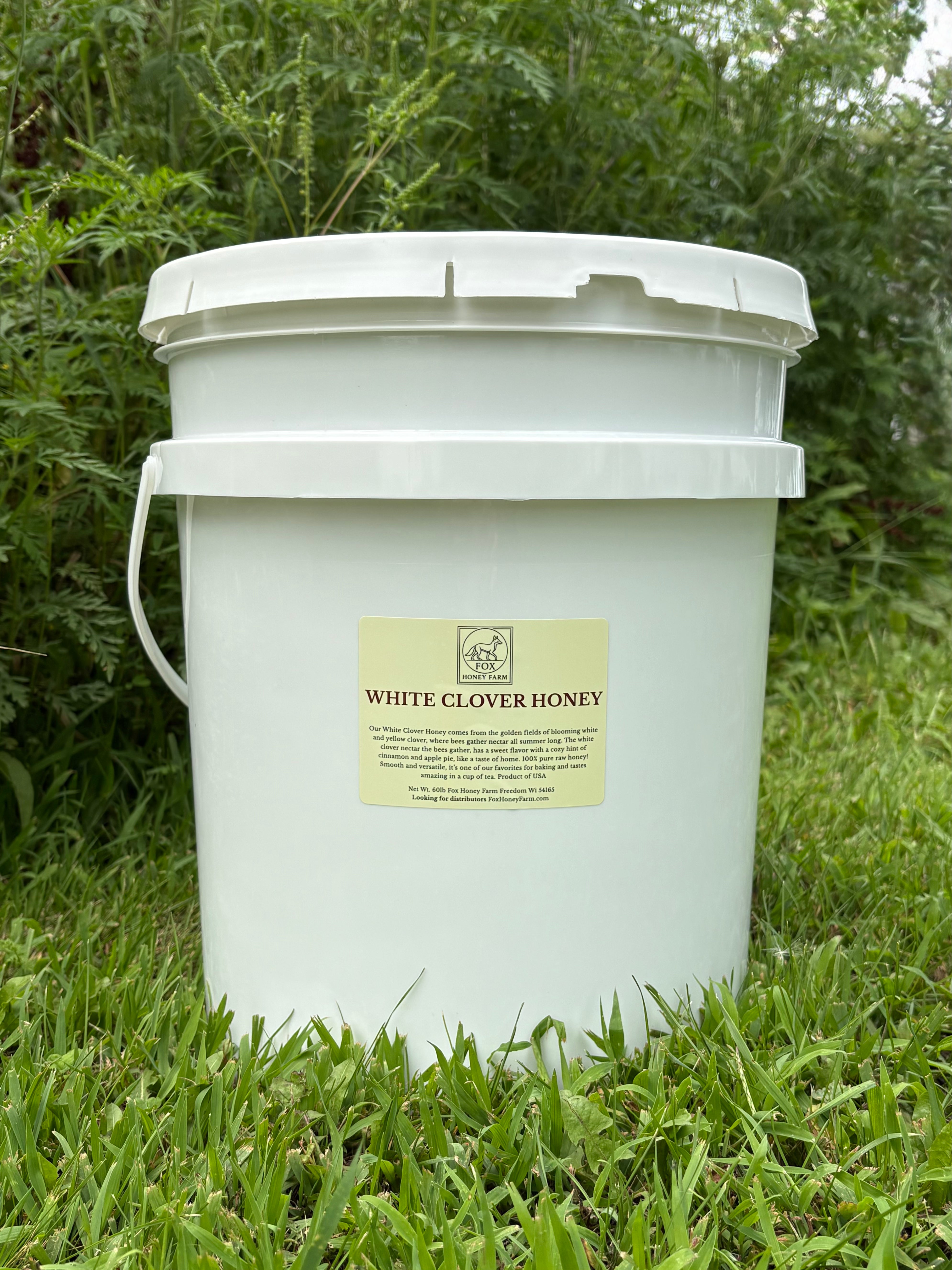 White Clover Honey - 60lb Bucket – Fox Honey Farm