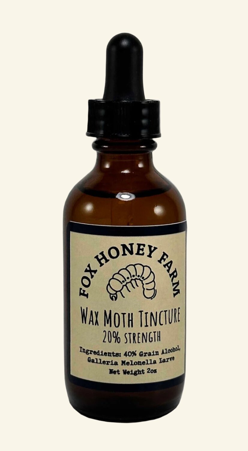 Wax Moth Tincture 20% 2oz