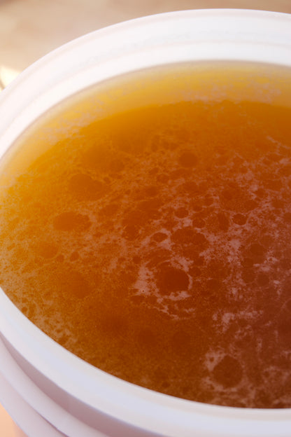 White Clover Honey - FRESH harvest - 48lb Bucket