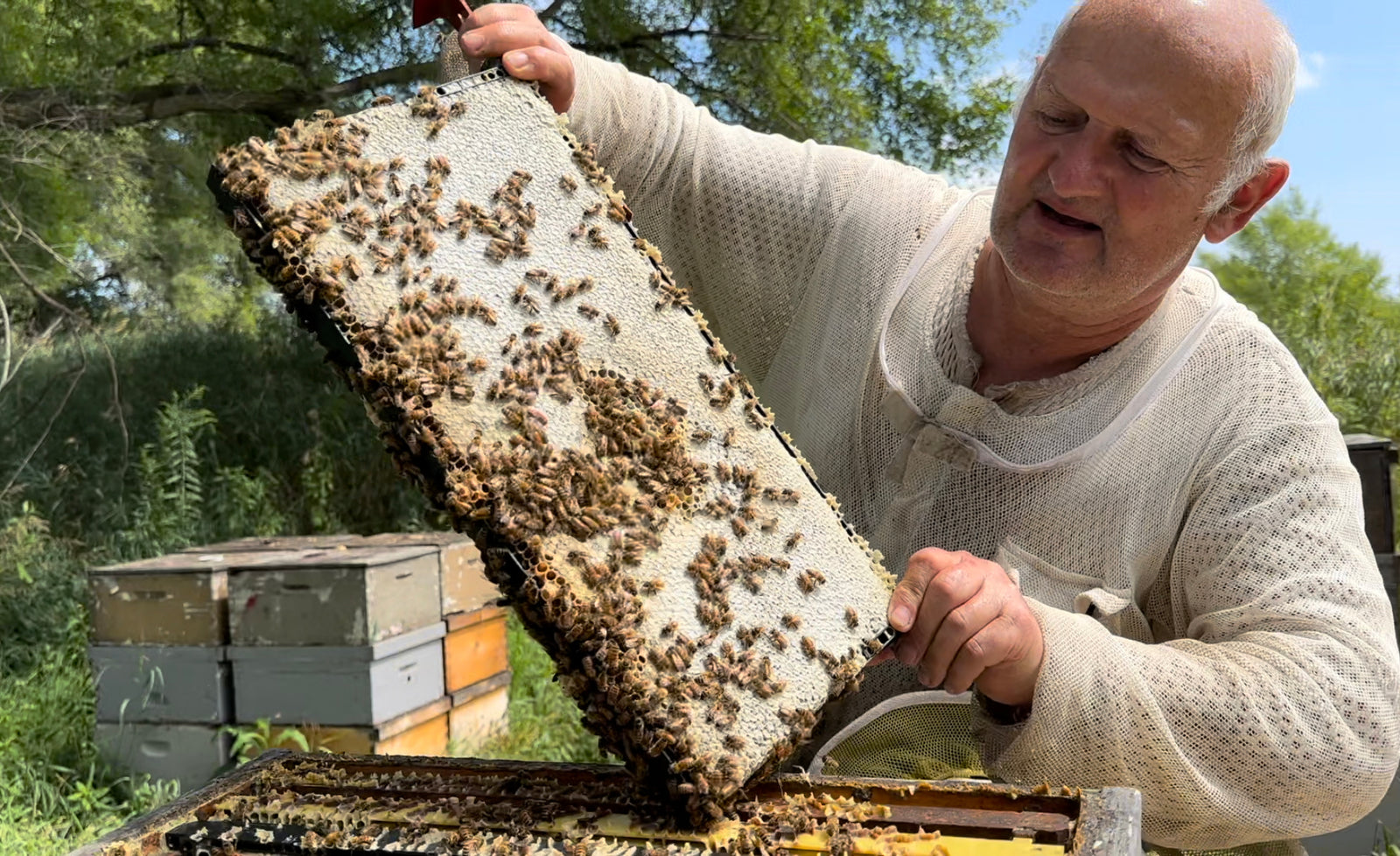 Fox Honey Farm