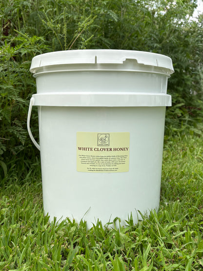White Clover Honey - 60lb Bucket