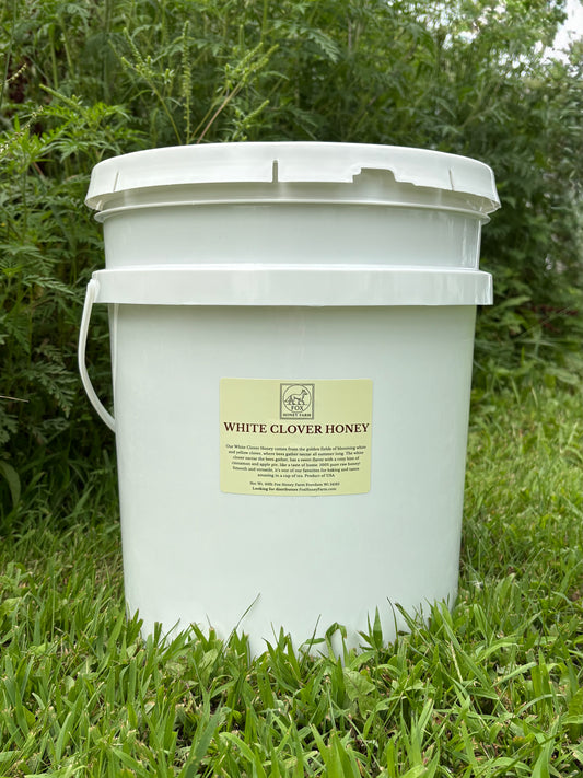 White Clover Honey - 60lb Bucket