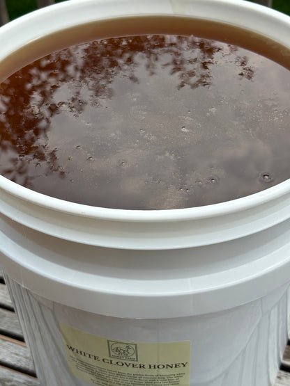 White Clover Honey - 60lb Bucket