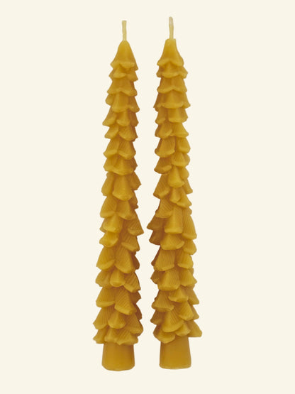 Beeswax Tree Taper Candle 2-pack