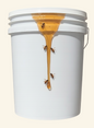 Wild Flower Honey - 60lb bucket